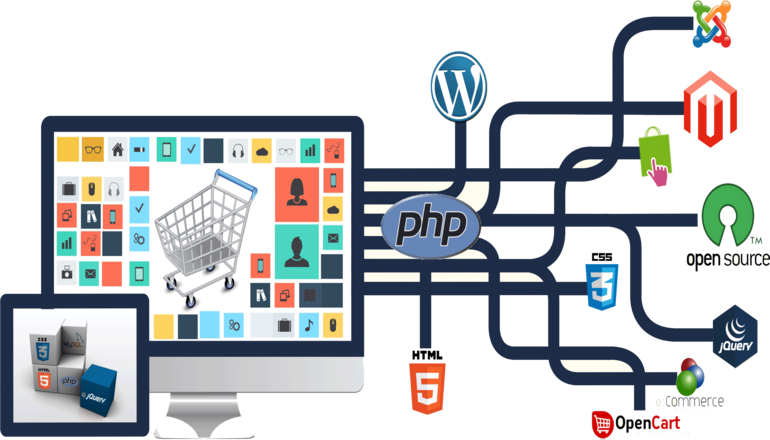 Website Development Company in Delhi NCR